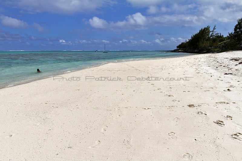 966 Mauritius island - Ile Maurice 2014 - IMG_5401_DxO Pbase.jpg