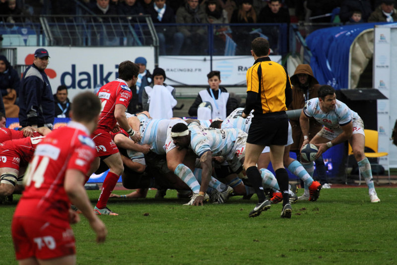 538 Rugby Racing 92 vs Scarlets au stade Yves du Manoir - IMG_5354_DxO optimise Pbase.jpg