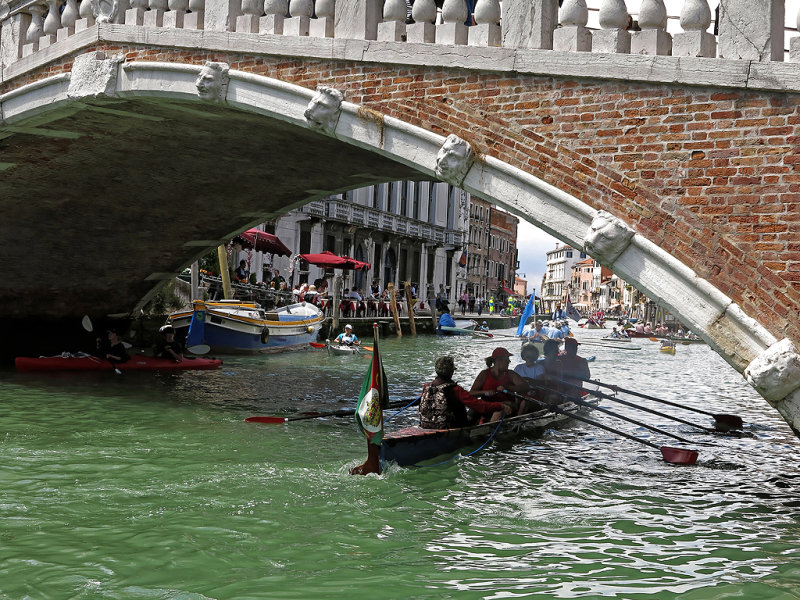 2207 Vogalonga 2016 - 42nd edition - IMG_3675_DxO Pbase.jpg