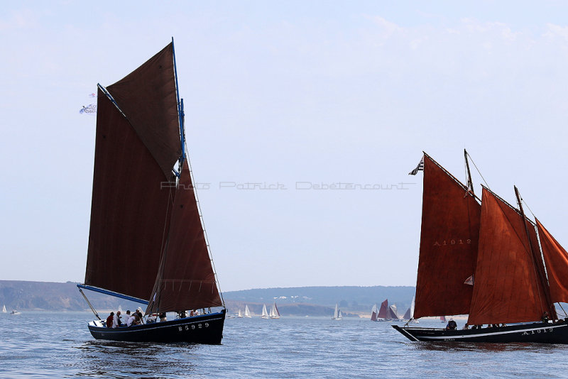 874 - Douarnenez Temps fte 2016 - IMG_0062_DxO 2 Pbase.jpg