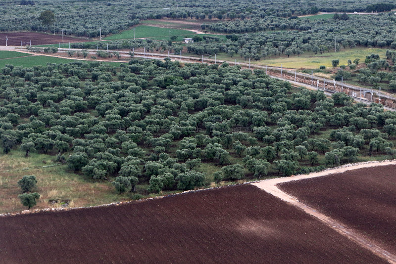 Two weeks in Puglia - Pictures taken during our flight from Roma to Bari
