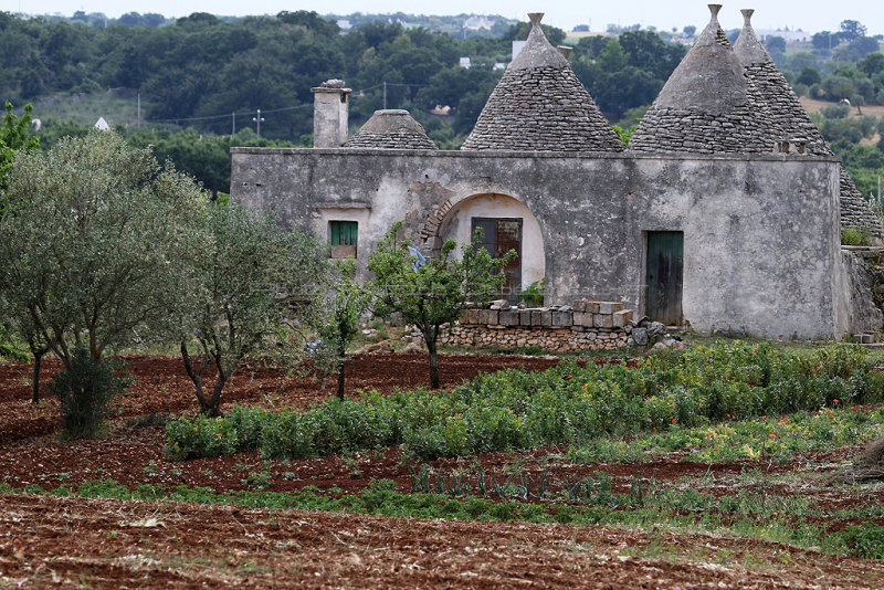 2 weeks in Puglia - Discovering the Itria valley arround Alberobello