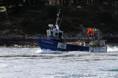 1693 Semaine du Golfe 2013 - IMG_5240_DxO Pbase.jpg