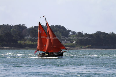 1782 Semaine du Golfe 2013 - IMG_5329_DxO Pbase.jpg