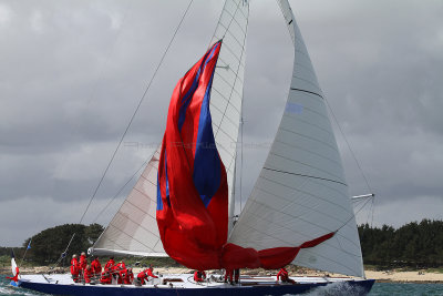 3714 Semaine du Golfe 2013 - IMG_6752 DxO Pbase.jpg