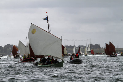 3974 Semaine du Golfe 2013 - IMG_6983 DxO Pbase.jpg