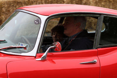 3679 - Retro Festival 2013 - IMG_4961 DxO - Photo P Debtencourt - Pbase.jpg