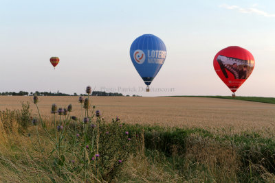 233 Lorraine Mondial Air Ballons 2013 - IMG_6834 DxO Pbase.jpg