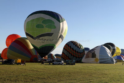 2769 Lorraine Mondial Air Ballons 2013 - IMG_8138 DxO Pbase.jpg