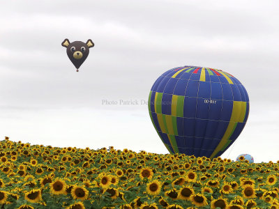 1358 Lorraine Mondial Air Ballons 2013 - IMG_0328 DxO Pbase.jpg