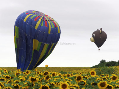 1374 Lorraine Mondial Air Ballons 2013 - IMG_0334 DxO Pbase.jpg