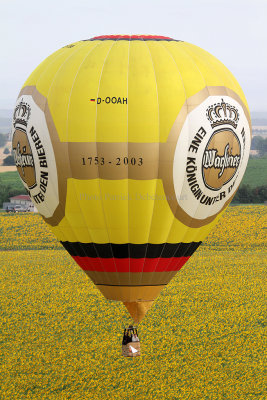 1162 Lorraine Mondial Air Ballons 2013 - IMG_7342 DxO Pbase.jpg