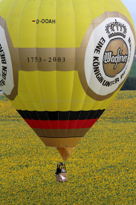 1166 Lorraine Mondial Air Ballons 2013 - IMG_7345 DxO Pbase.jpg