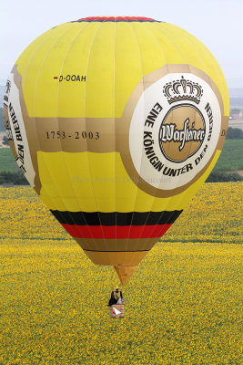 1169 Lorraine Mondial Air Ballons 2013 - IMG_7347 DxO Pbase.jpg