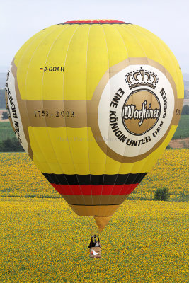 1173 Lorraine Mondial Air Ballons 2013 - IMG_7350 DxO Pbase.jpg