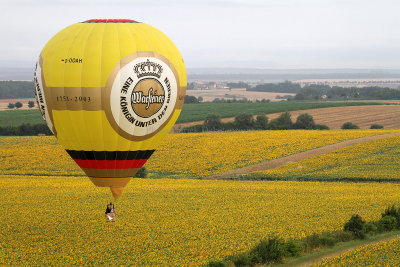 1174 Lorraine Mondial Air Ballons 2013 - IMG_7351 DxO Pbase.jpg