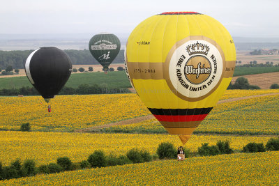 1177 Lorraine Mondial Air Ballons 2013 - IMG_7352 DxO Pbase.jpg