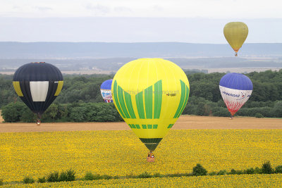 1185 Lorraine Mondial Air Ballons 2013 - IMG_7359 DxO Pbase.jpg