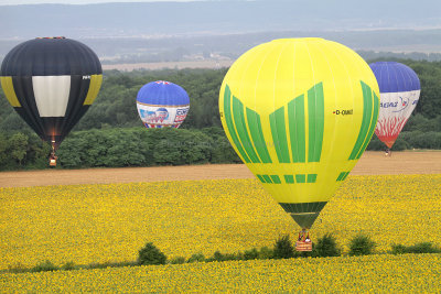 1189 Lorraine Mondial Air Ballons 2013 - IMG_7363 DxO Pbase.jpg