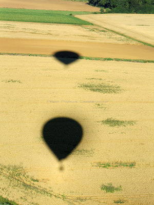 3262 Lorraine Mondial Air Ballons 2013 - IMG_0542 DxO Pbase.jpg