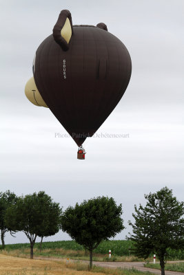 1326 Lorraine Mondial Air Ballons 2013 - IMG_7419 DxO Pbase.jpg