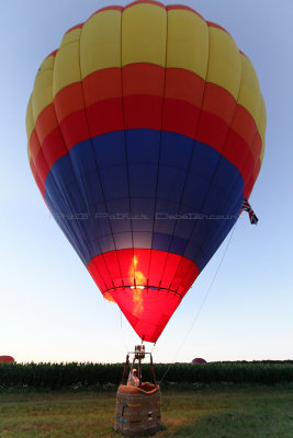 2476 Lorraine Mondial Air Ballons 2013 - IMG_7926 DxO Pbase.jpg