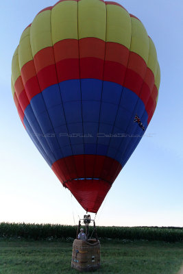 2498 Lorraine Mondial Air Ballons 2013 - IMG_7948 DxO Pbase.jpg