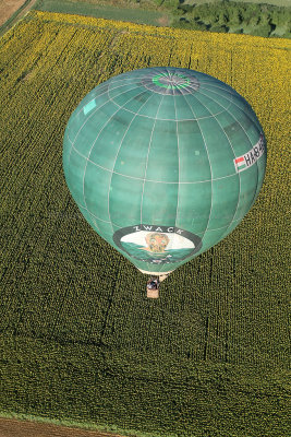 3081 Lorraine Mondial Air Ballons 2013 - MK3_0722 DxO Pbase.jpg