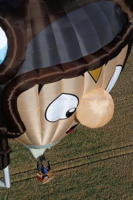 3545 Lorraine Mondial Air Ballons 2013 - MK3_0877_DxO Pbase.jpg