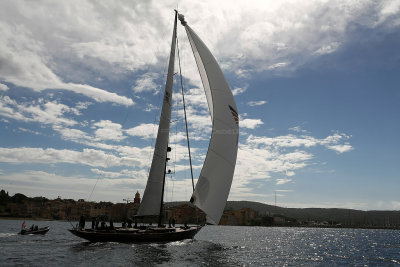 59  Voiles de Saint-Tropez 2013 - MK3_1059 DxO Photo Patrick Debtencourt.jpg