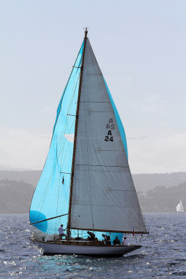 150  Voiles de Saint-Tropez 2013 - IMG_9682 DxO Photo Patrick Debtencourt.jpg