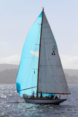 151  Voiles de Saint-Tropez 2013 - IMG_9683 DxO Photo Patrick Debtencourt.jpg