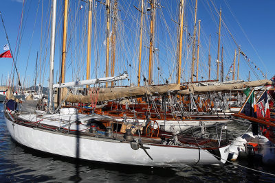 233  Voiles de Saint-Tropez 2013 - MK3_1103 DxO Photo Patrick Debtencourt 2.jpg