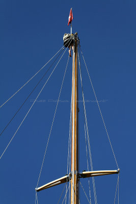 245  Voiles de Saint-Tropez 2013 - IMG_9737 DxO Photo Patrick Debtencourt 2.jpg