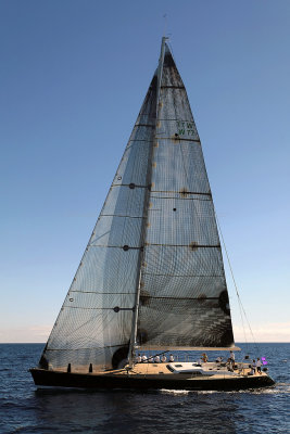 250  Voiles de Saint-Tropez 2013 - MK3_1109 DxO Photo Patrick Debtencourt 2.jpg