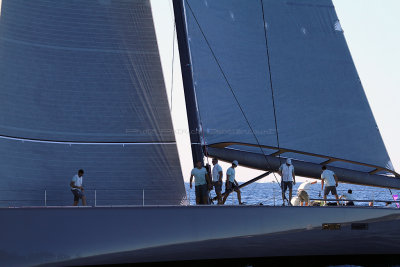 257  Voiles de Saint-Tropez 2013 - IMG_9744 DxO Photo Patrick Debtencourt 2.jpg