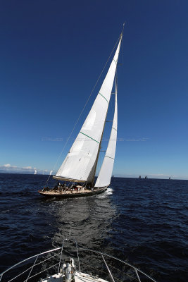 354  Voiles de Saint-Tropez 2013 - MK3_1120 DxO Photo Patrick Debtencourt 2.jpg