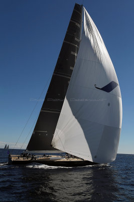 366  Voiles de Saint-Tropez 2013 - MK3_1126 DxO Photo Patrick Debtencourt 2.jpg