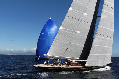 377  Voiles de Saint-Tropez 2013 - MK3_1134 DxO Photo Patrick Debtencourt 2.jpg