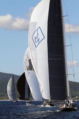 474  Voiles de Saint-Tropez 2013 - IMG_9864 DxO Photo Patrick Debtencourt 2.jpg