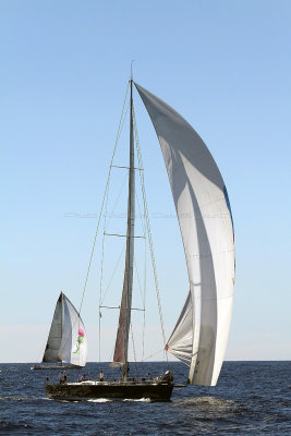 634  Voiles de Saint-Tropez 2013 - IMG_9987 DxO Photo Patrick Debtencourt 2.jpg