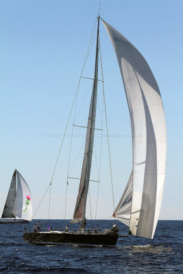 635  Voiles de Saint-Tropez 2013 - IMG_9988 DxO Photo Patrick Debtencourt 2.jpg