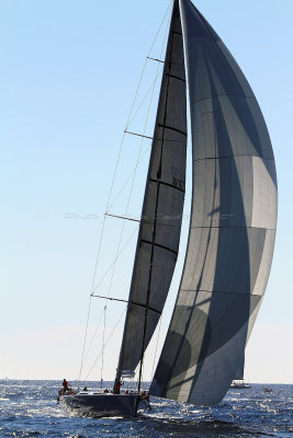 649  Voiles de Saint-Tropez 2013 - IMG_0003 DxO Photo Patrick Debtencourt 2.jpg