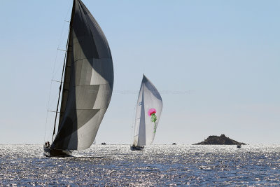 777  Voiles de Saint-Tropez 2013 - IMG_0102 DxO Photo Patrick Debtencourt 2.jpg