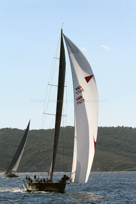 793  Voiles de Saint-Tropez 2013 - IMG_0118 DxO Photo Patrick Debtencourt 2.jpg