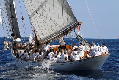 1223  Voiles de Saint-Tropez 2013 - IMG_0465 DxO Photo Patrick Debetencourt.jpg