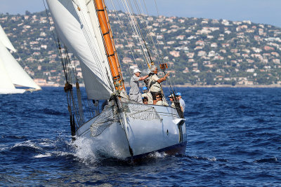 1252  Voiles de Saint-Tropez 2013 - IMG_0490 DxO Photo Patrick Debetencourt.jpg