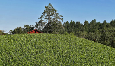 7519 West USA road trip - MK3_4602 DxO Pbase.jpg