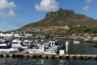 Two weeks in South Africa - Discovering  the Cape peninsula and Cape of Good Hope
