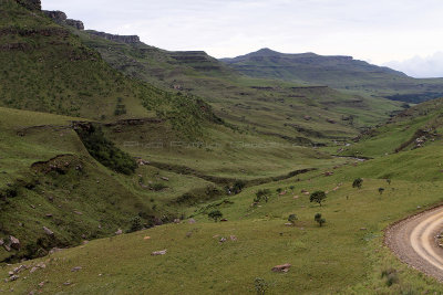 1270 Two weeks in South Africa - IMG_3675 DxO Pbase.jpg